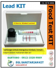 Lead Test Kit